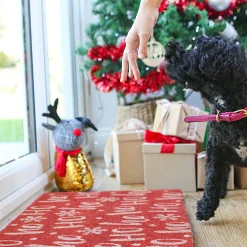 60cm x 40cm Red Ho Ho Ho Coir Door Mat