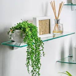 Floating Glass Wall Shelf - 60cm